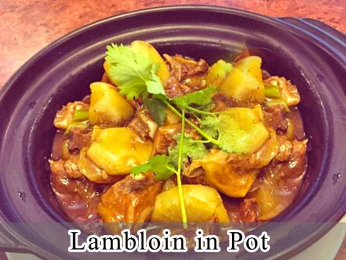 Lambloin in Pot 