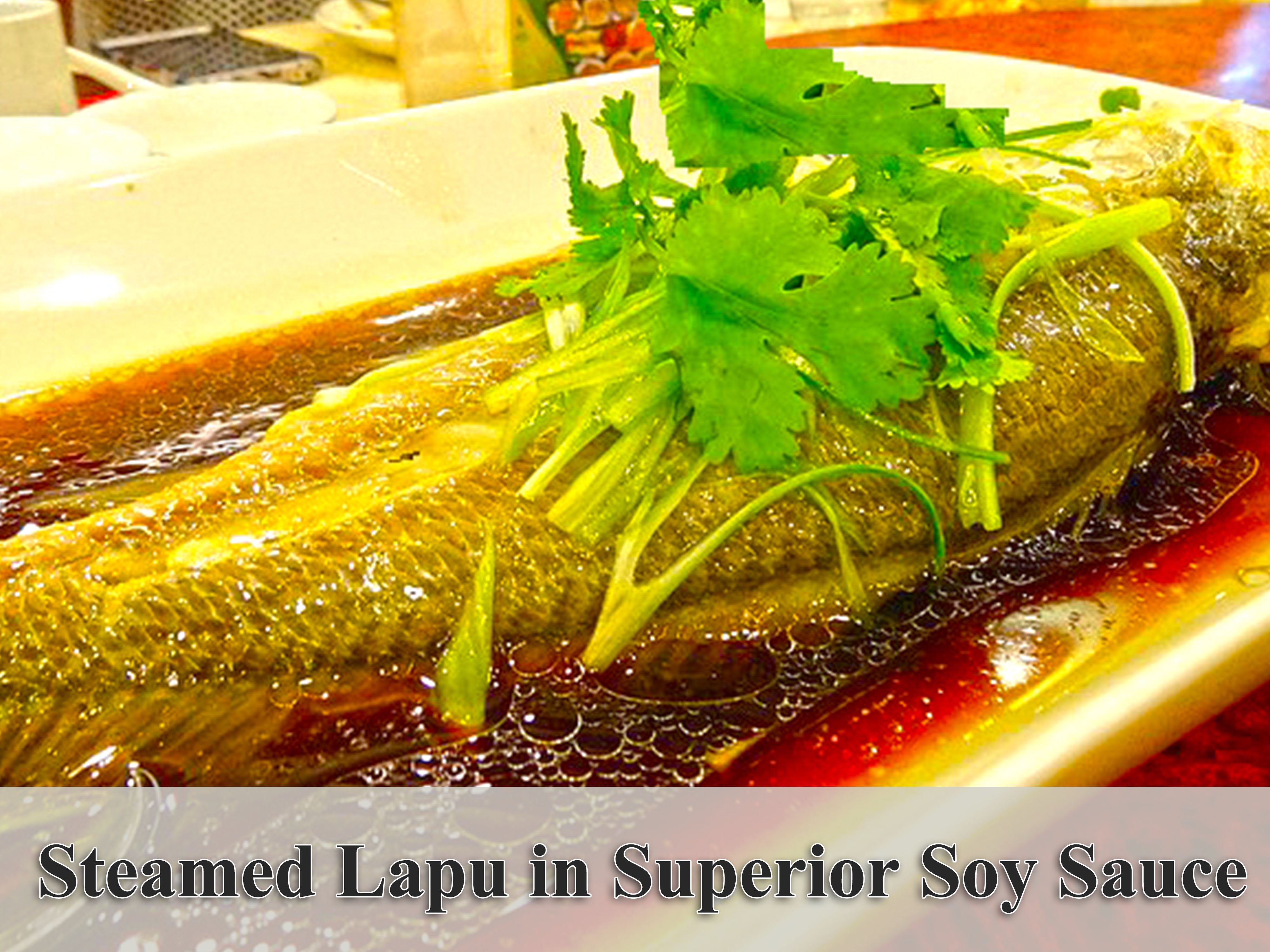 Steamed Lapu in Superior Soy Sauce